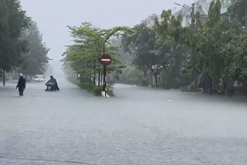 [Video] Thành phố Hồ Chí Minh và Nam Bộ chủ động ứng phó mưa lớn, nguy cơ ngập lụt