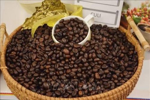 Bản tin nông sản hôm nay (20-9): Giá cà phê ổn định