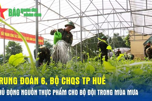 Trung đoàn 6, Bộ CHQS TP Huế: Chủ động nguồn thực phẩm cho bộ đội trong mùa mưa