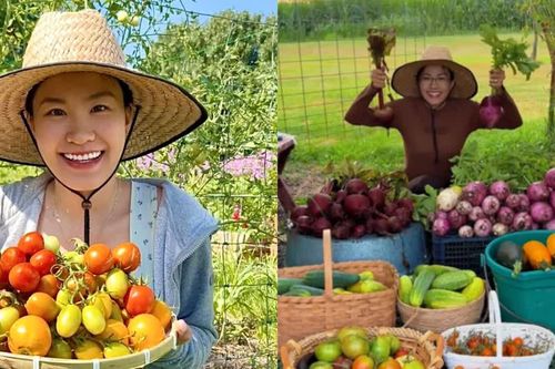 Nữ 9X Đà Nẵng trồng vườn rau Việt 100m² giữa nước Mỹ để giữ hương vị quê nhà