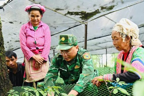 Học nghề dưới tán rừng mở hướng sinh kế cho hộ nghèo vùng biên