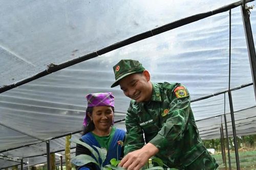 'Lấy ngắn nuôi dài' để người dân có việc làm và thu nhập