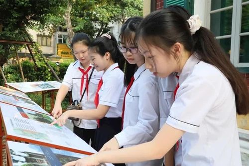 Hà Nội khai trương triển lãm ảnh về 'di sản sống' cây xanh đô thị