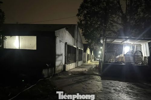 Vụ đàn heo 2.350 con dương tính với chất cấm ở Đồng Nai: Chuyển hồ sơ qua Công an