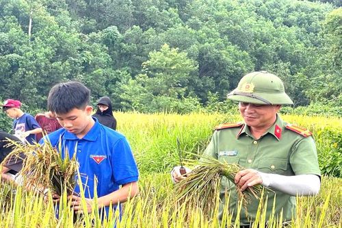 Giữ mùa vàng, thắm tình quân dân