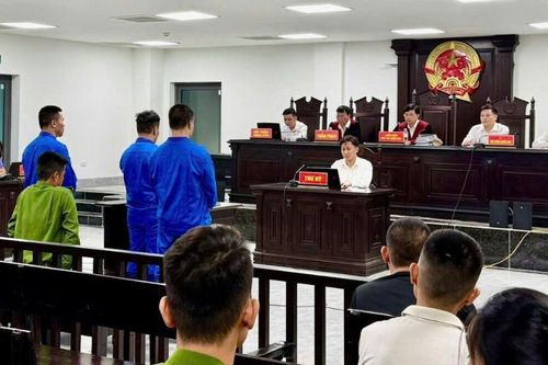 Kết đắng cho 'ông trùm' ma túy và những kẻ tiếp tay