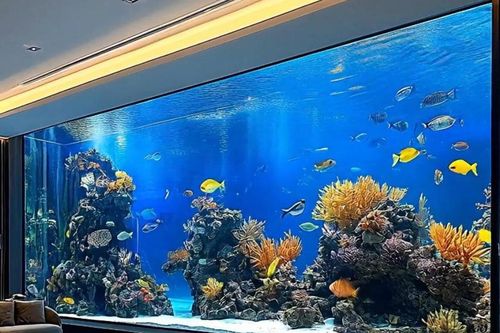 4 thứ nên đặt ở cung tài lộc trong nhà để tăng vượng khí, hút tài lộc