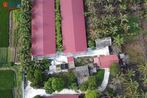 Sau phản ánh của Báo Bảo vệ pháp luật: Chính quyền yêu cầu trang trại lợn giảm đàn