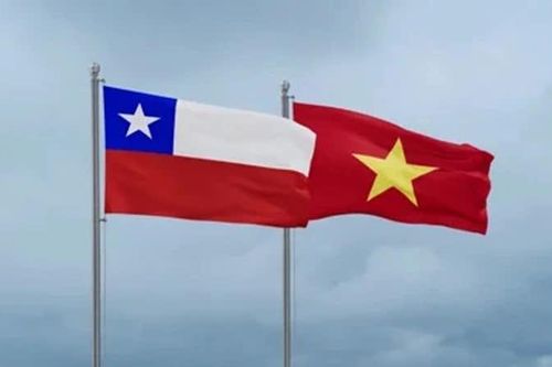 Chủ tịch Viện Văn hóa Hữu nghị Chile-Việt Nam: Việt Nam là một phần cuộc đời tôi