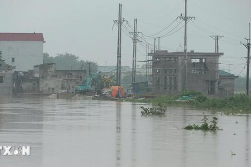 Nghệ An: Vượt sông Hội Nguyên trong đêm khẩn tốc đưa học sinh co giật đi cấp cứu