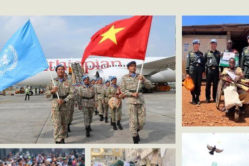 Việt Nam-Liên hợp quốc: Hành trình từ hội nhập đến chủ động đóng góp