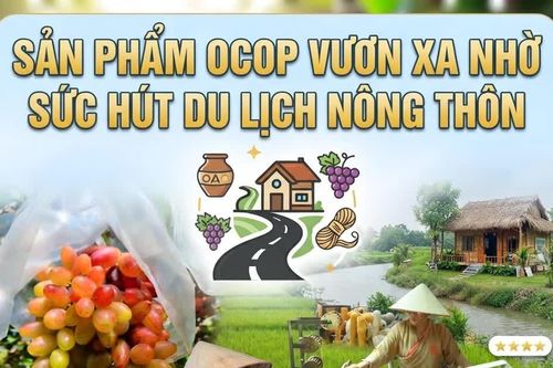 Sản phẩm OCOP vươn xa nhờ sức hút du lịch nông thôn