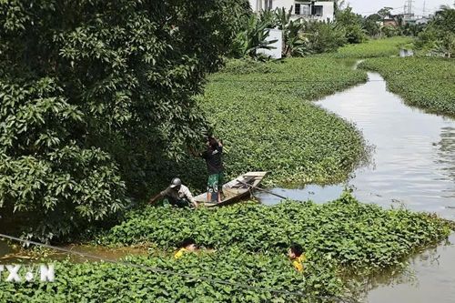Khẩn trương khơi thông dòng chảy, tiêu thoát nước sau mưa lũ