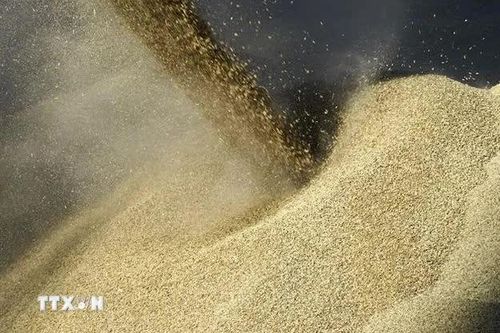 Biến đổi khí hậu gia tăng sức ép lên an ninh lương thực