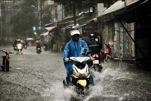 Nam Bộ đón đợt mưa lớn, TP. Hồ Chí Minh chủ động ứng phó ngập