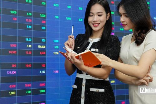Nâng hạng thị trường chứng khoán: Mở 'cánh cửa' đến dòng vốn tỷ USD