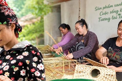 Khi phụ nữ biến chuyển đổi xanh thành cơ hội khởi nghiệp
