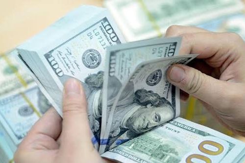 Tỷ giá ngoại tệ ngày 20/09: USD, EUR, GBP và JPY duy trì trạng thái ổn định