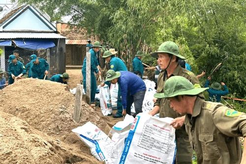 Khẩn trương gia cố các điểm sạt lở ven sông Tân Lâm