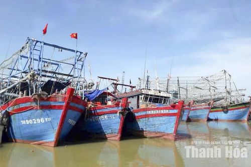 Cơ giới hóa nghề cá, tăng năng lực khai thác xa bờ