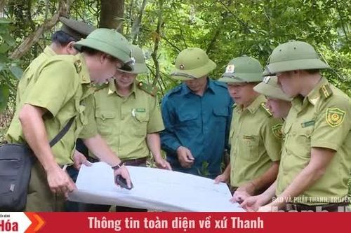 Khi người giữ rừng có thêm “trợ thủ số”
