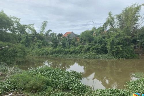 Sông quê qua những bến đời