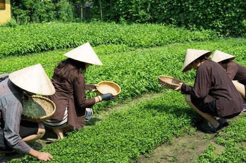 Ghi dấu điểm đến bằng mùi hương