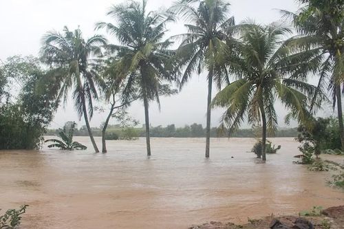 Gia Lai: Cảnh báo mưa lớn trên 400 mm, chủ động ứng phó lũ quét, sạt lở đất