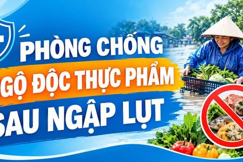 Infographic Phòng, chống ngộ độc thực phẩm sau ngập lụt