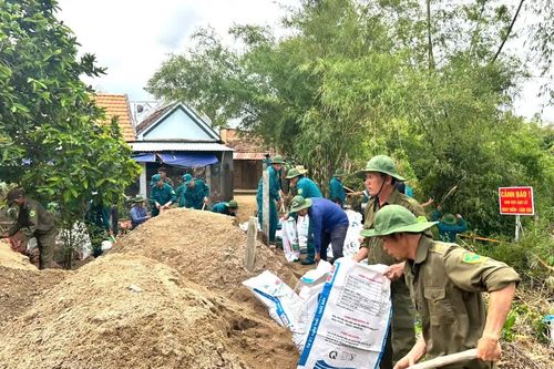 Xã Hòa Trí ra quân gia cố hai điểm sạt lở dọc bờ sông Tân Lâm
