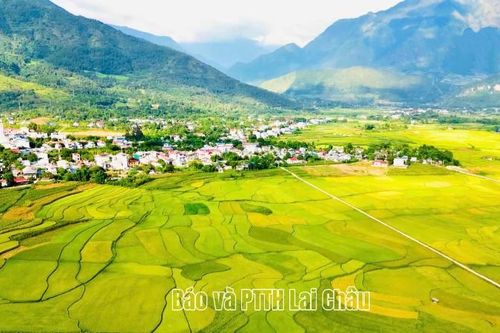 Từ ngày 25 đến 27/9 sẽ diễn ra 'Ngày hội Mùa vàng Bình Lư' năm 2026
