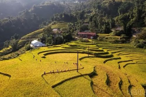 Vì một Lào Cai hạnh phúc