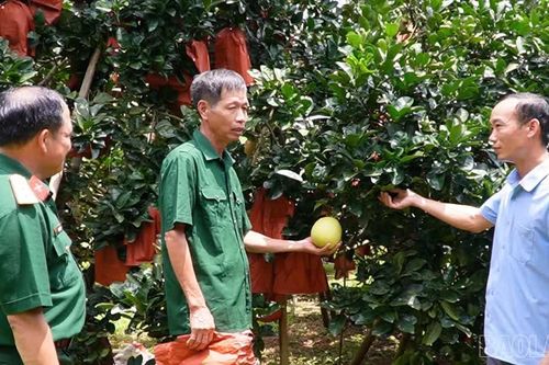 Những người lính trên mặt trận mới