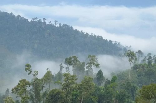 Nà Hẩu khơi dậy tiềm năng du lịch từ rừng và bản sắc