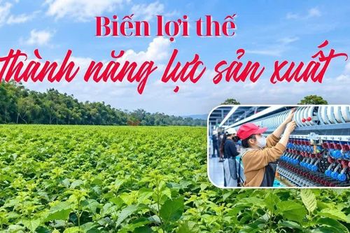 Biến lợi thế thành năng lực sản xuất