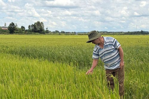 Ông Hầu Văn Sinh hơn 22 năm gắn trách nhiệm với cộng đồng