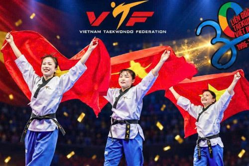 Taekwondo Lâm Đồng liên tiếp giành huy chương vàng thế giới tại Hàn Quốc