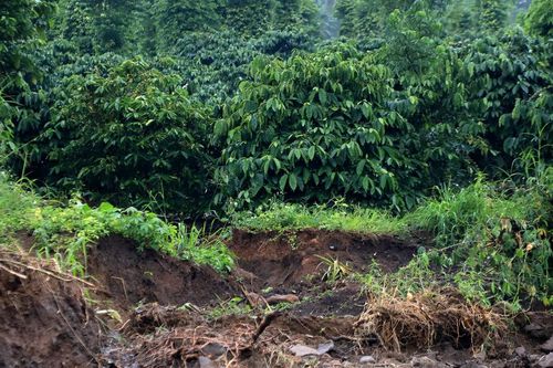 Lâm Đồng công bố tình huống khẩn cấp về thiên tai tại xã Quảng Sơn