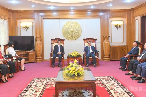 Phó Chủ tịch UBND tỉnh Hoàng Gia Long tiếp Đoàn công tác Hiệp hội Kinh tế, Văn hoá Hàn - Việt (KOVECA)