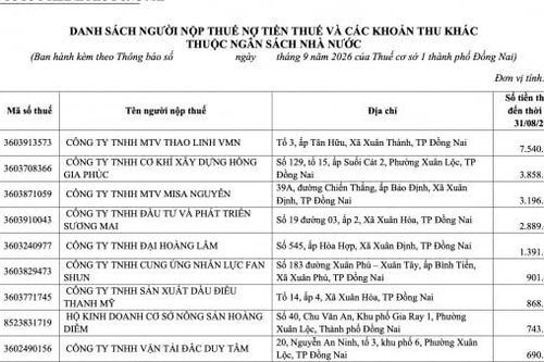 Gần 1.700 doanh nghiệp ở Đồng Nai nợ hơn 46 tỷ đồng tiền thuế và các khoản thu ngân sách
