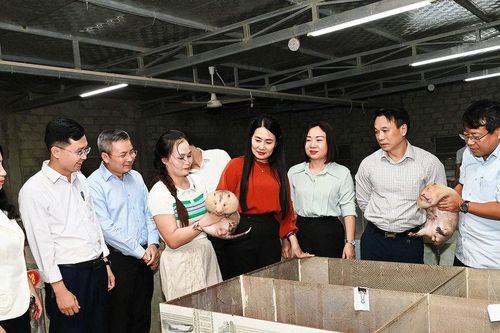 Gỡ điểm nghẽn thể chế, đưa chính sách nông nghiệp về sát cơ sở