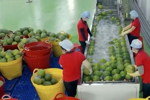 Hàng hóa Việt Nam đối mặt 327 vụ việc phòng vệ thương mại
