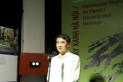 Khởi động mùa văn hóa 'Di sản cây xanh Hà Nội'