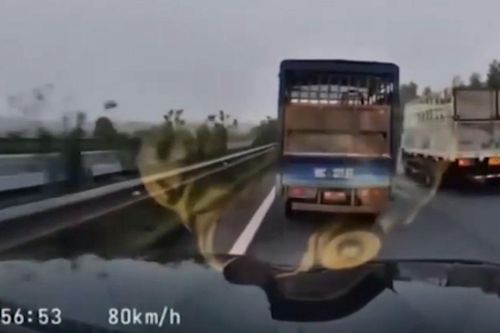 Tài xế bị phạt nặng vì không nhường đường cho xe ưu tiên