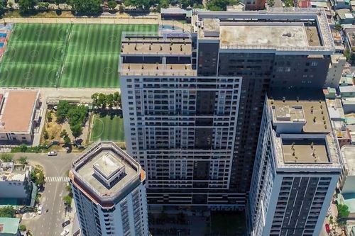 NDN sắp chi hơn 50 tỷ đồng trả cổ tức