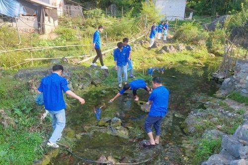 Hơn 1.000 đoàn viên, thanh niên ra quân 'Ngày Chủ nhật xanh'