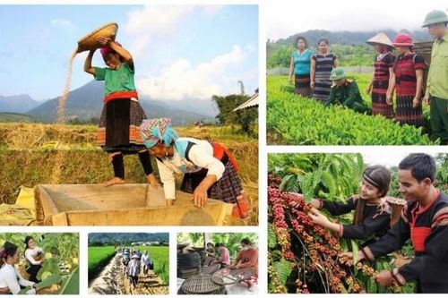 Khẩn trương đẩy nhanh giải ngân các Chương trình mục tiêu quốc gia