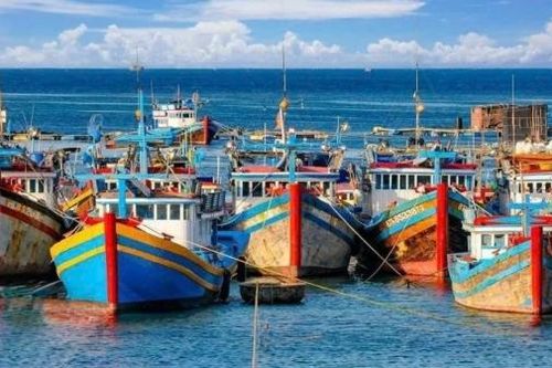 Bộ Tư lệnh Vùng 4 Hải quân: Đề nghị tăng cường phối hợp bảo đảm an toàn tàu cá trên biển
