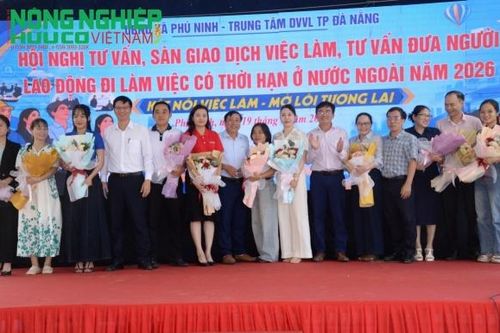 Đà Nẵng: Mở rộng cơ hội việc làm bền vững tại xã Phú Ninh