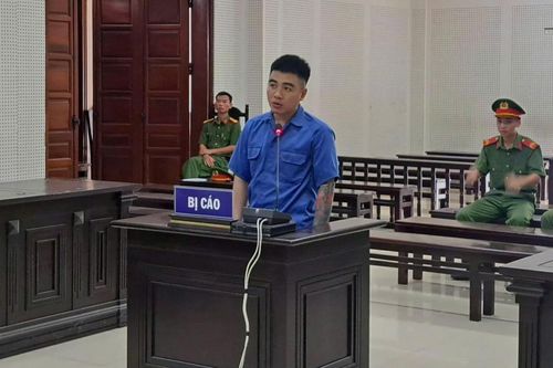 Dùng giấy đăng ký xe giả lừa đảo, chiếm đoạt 330 triệu đồng